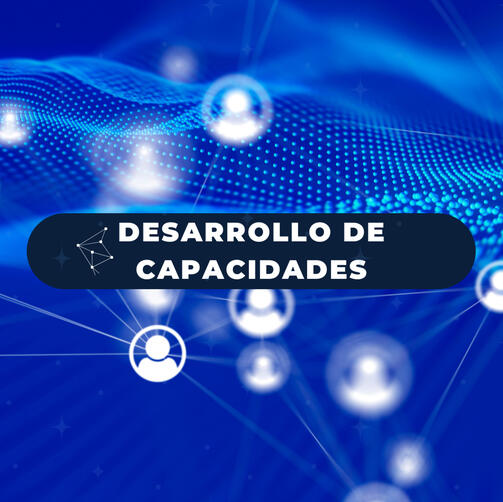 Desarrollo de capacidades